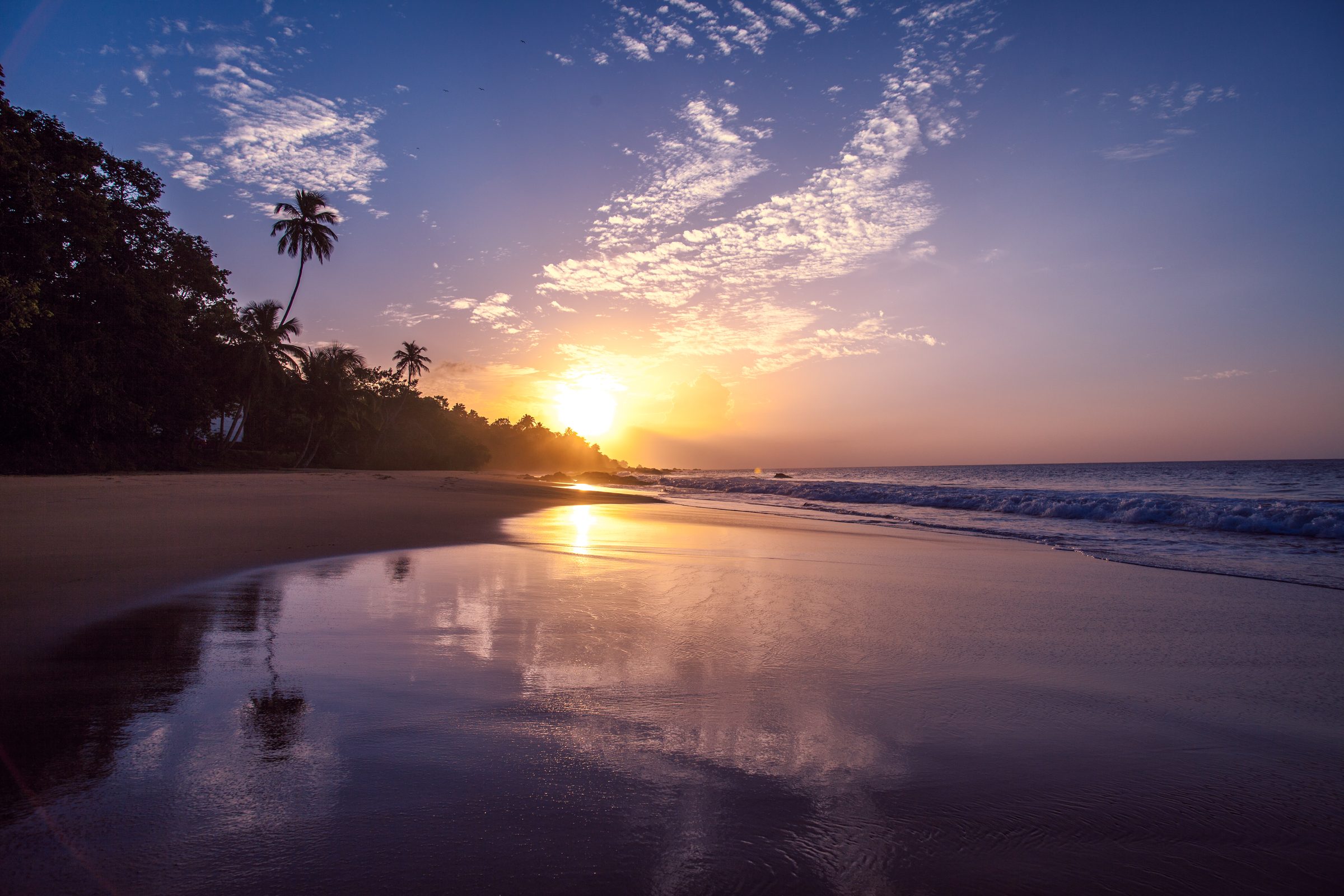 Golden sunset over a palm-lined beach in Tobago